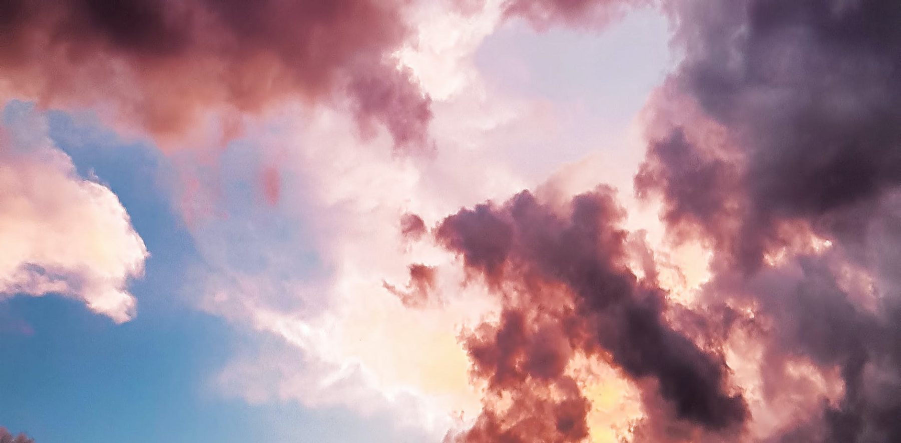 Let's go on a Dream Trip!